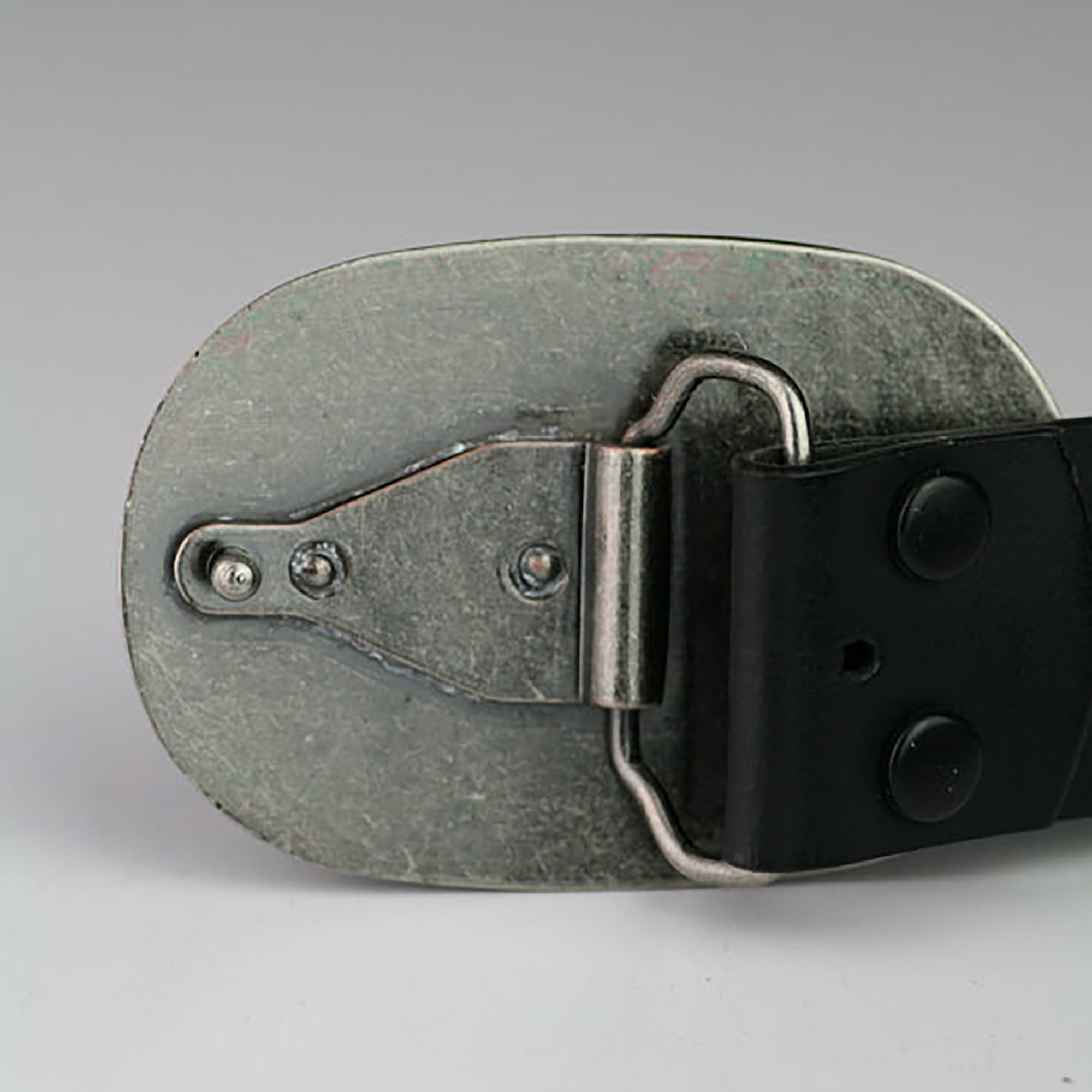 reBuckle: Pig